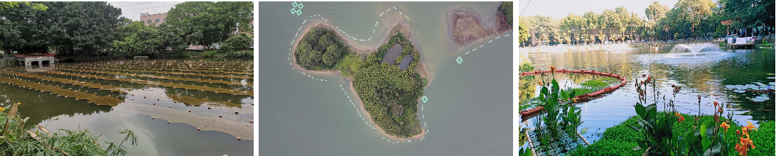 水庫水體治理修復