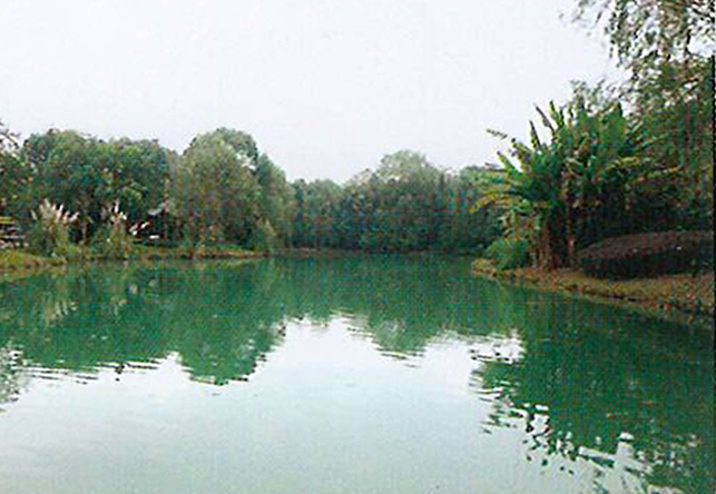 景觀區(qū)域微污染水體凈化