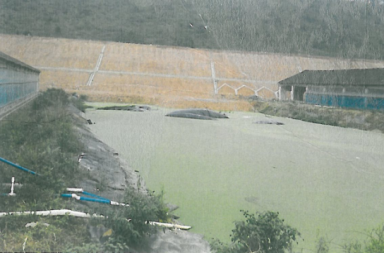 廣東溫氏南方家禽養(yǎng)殖廢水處理工程