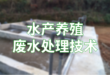 【環保干貨】水產養殖廢水處理技術最新進展及14種治理模式